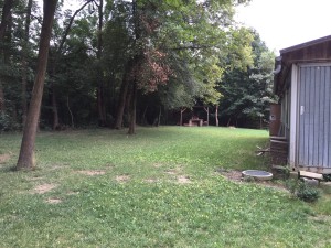 Kleine Wiese hinter den Kontainern mit Blick zum Lärmschutzdamm