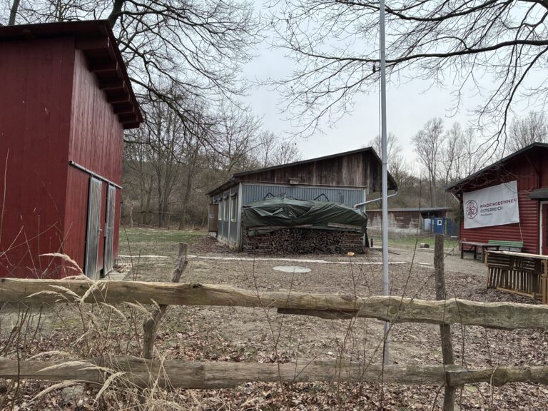 Pfadfinderheim, Gelände (4)